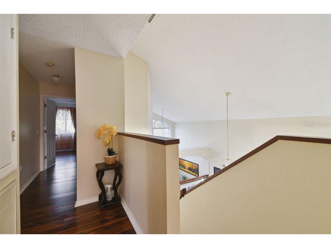 1637 Gray Bark Drive Oldsmar FL 34677 TB8440841 image39