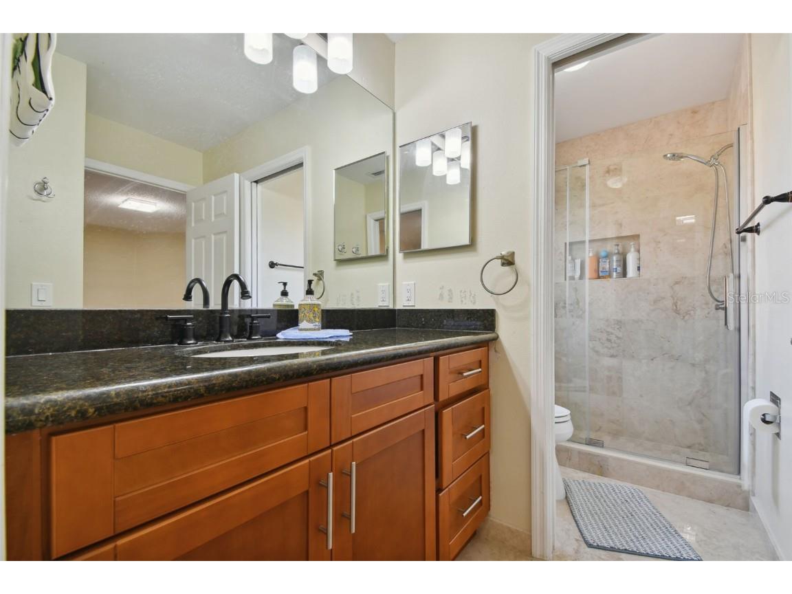 1637 Gray Bark Drive Oldsmar FL 34677 TB8440841 image49