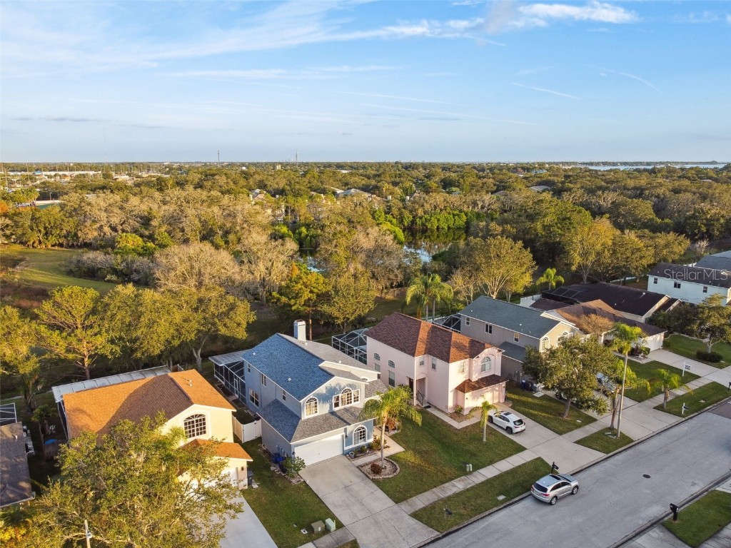 1637 Gray Bark Drive Oldsmar FL 34677 TB8440841 image51