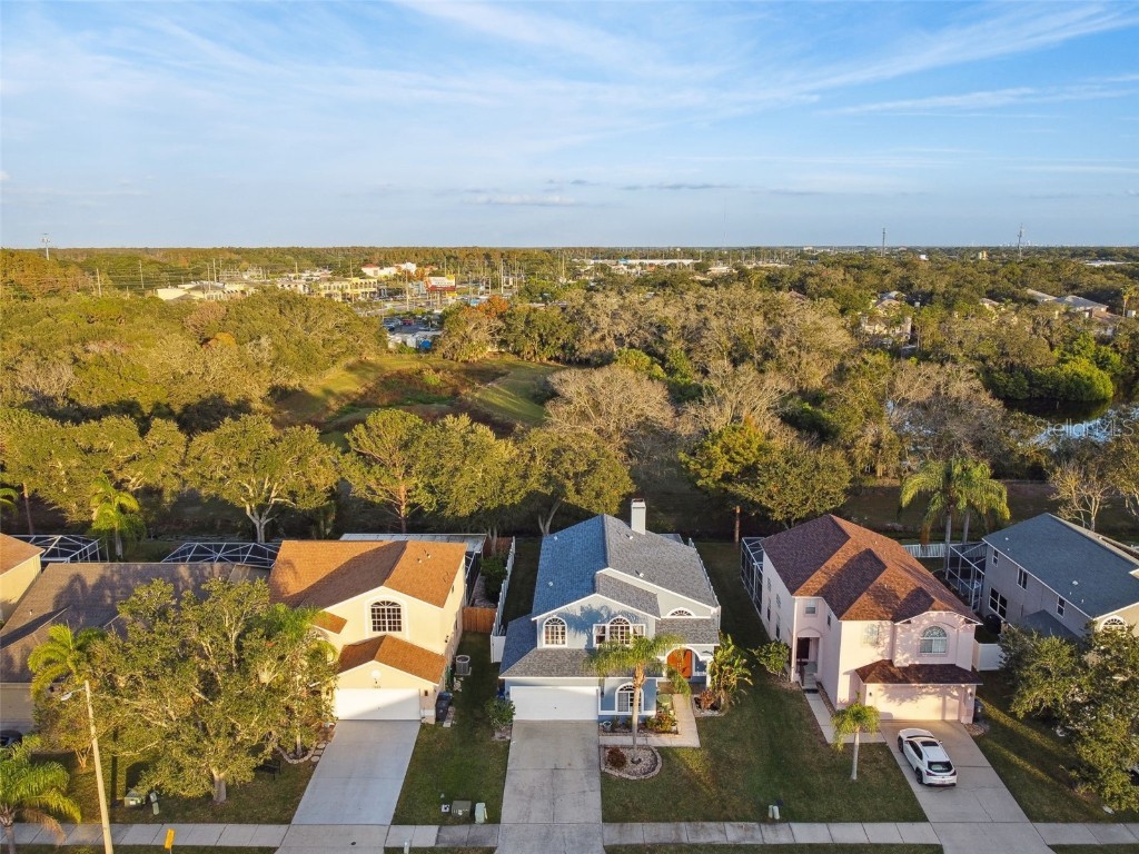 1637 Gray Bark Drive Oldsmar FL 34677 TB8440841 image52