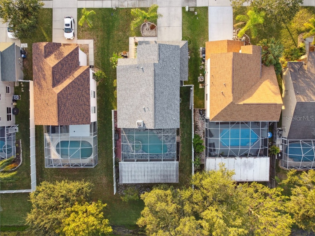 1637 Gray Bark Drive Oldsmar FL 34677 TB8440841 image56