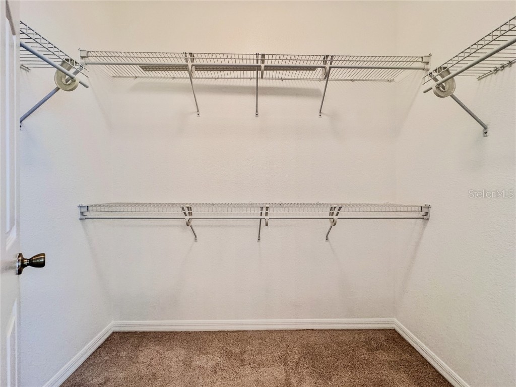 1637 Mistflower Lane Winter Garden FL 34787 O6317474 image23