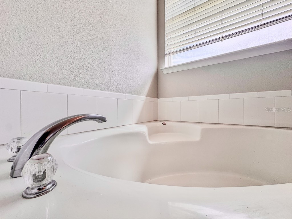 1637 Mistflower Lane Winter Garden FL 34787 O6317474 image26