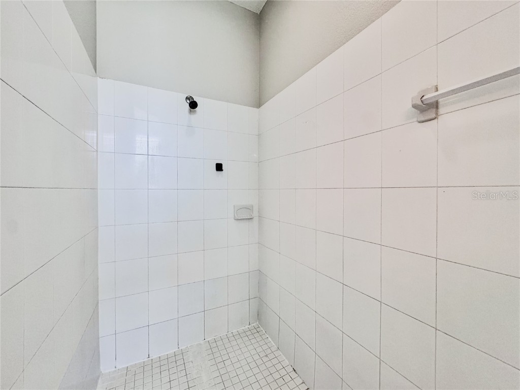 1637 Mistflower Lane Winter Garden FL 34787 O6317474 image27