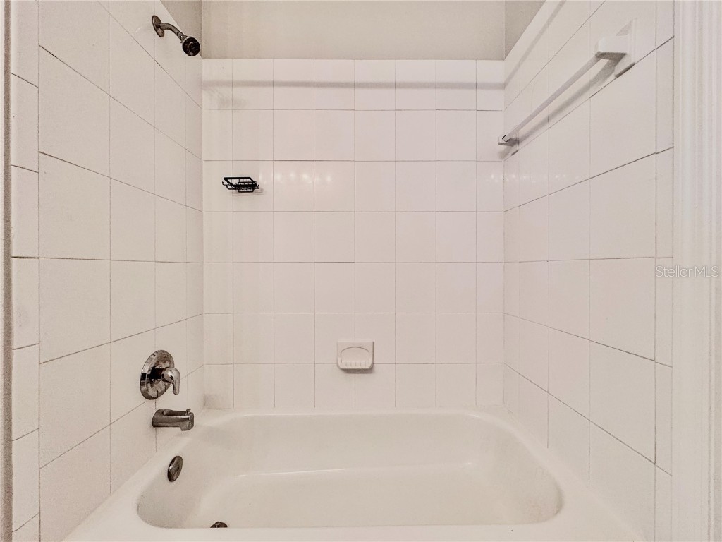 1637 Mistflower Lane Winter Garden FL 34787 O6317474 image42