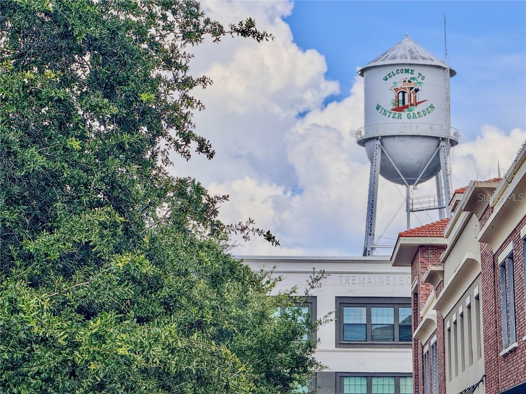 1637 Mistflower Lane Winter Garden FL 34787 O6317474 image73