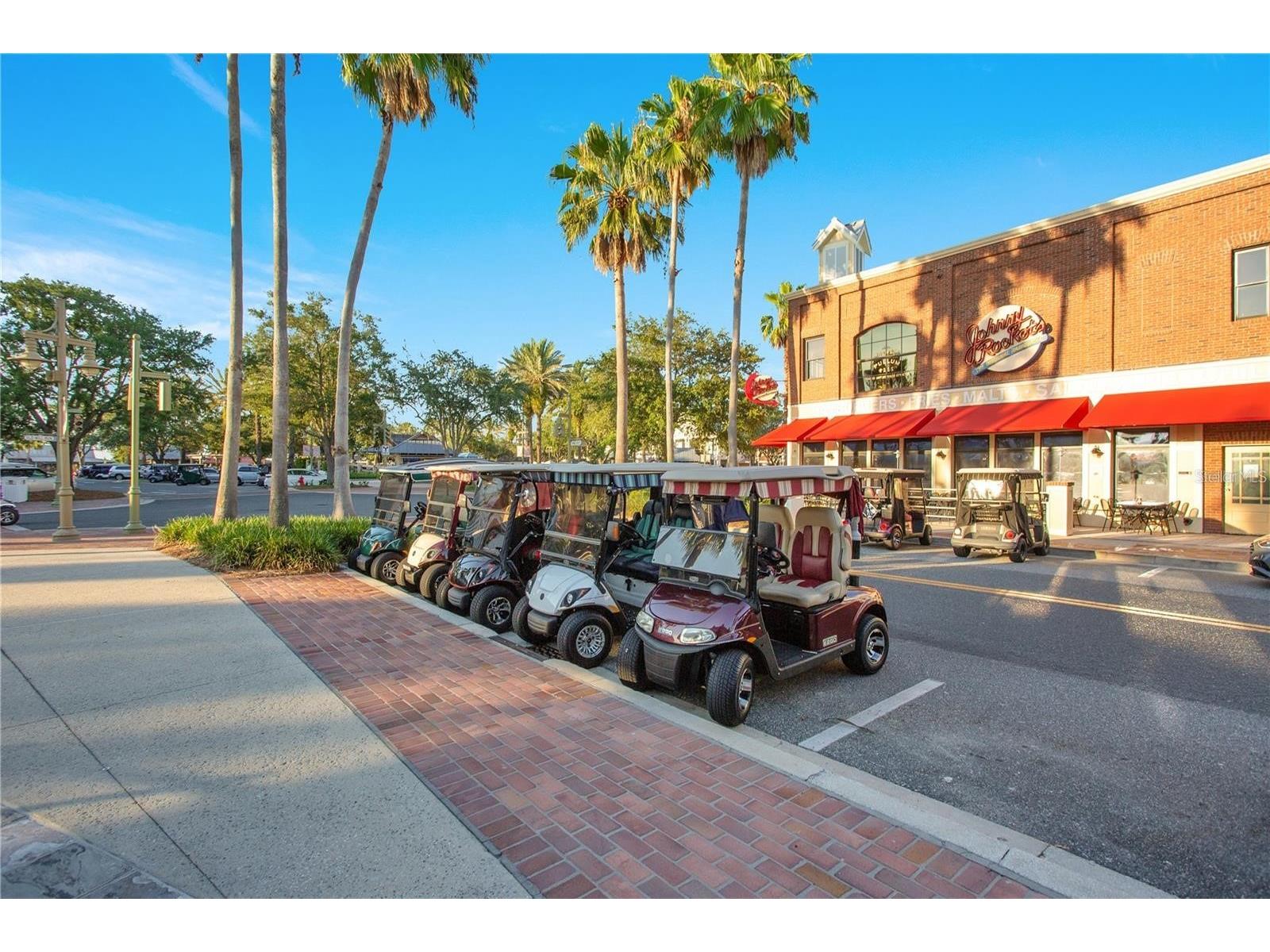 1637 Mount Croghan Trail The Villages FL 32162 G5108910 image39