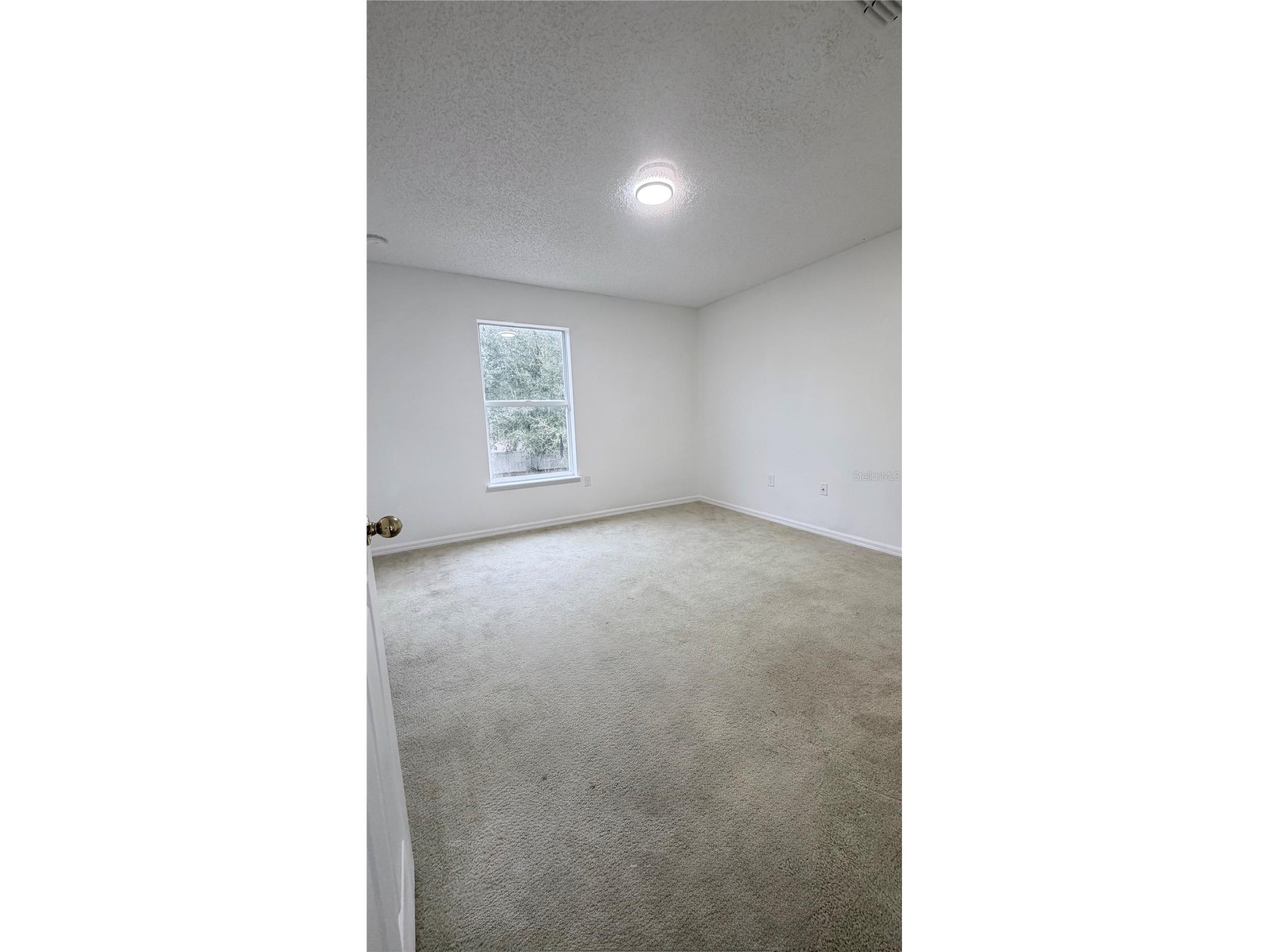 1637 Myrtle Lake Avenue Fruitland Park FL 34731 G5109434 image13