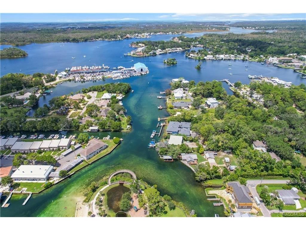 1637 SE Paradise Circle #204 Crystal River FL 34429 TB8494856 image48