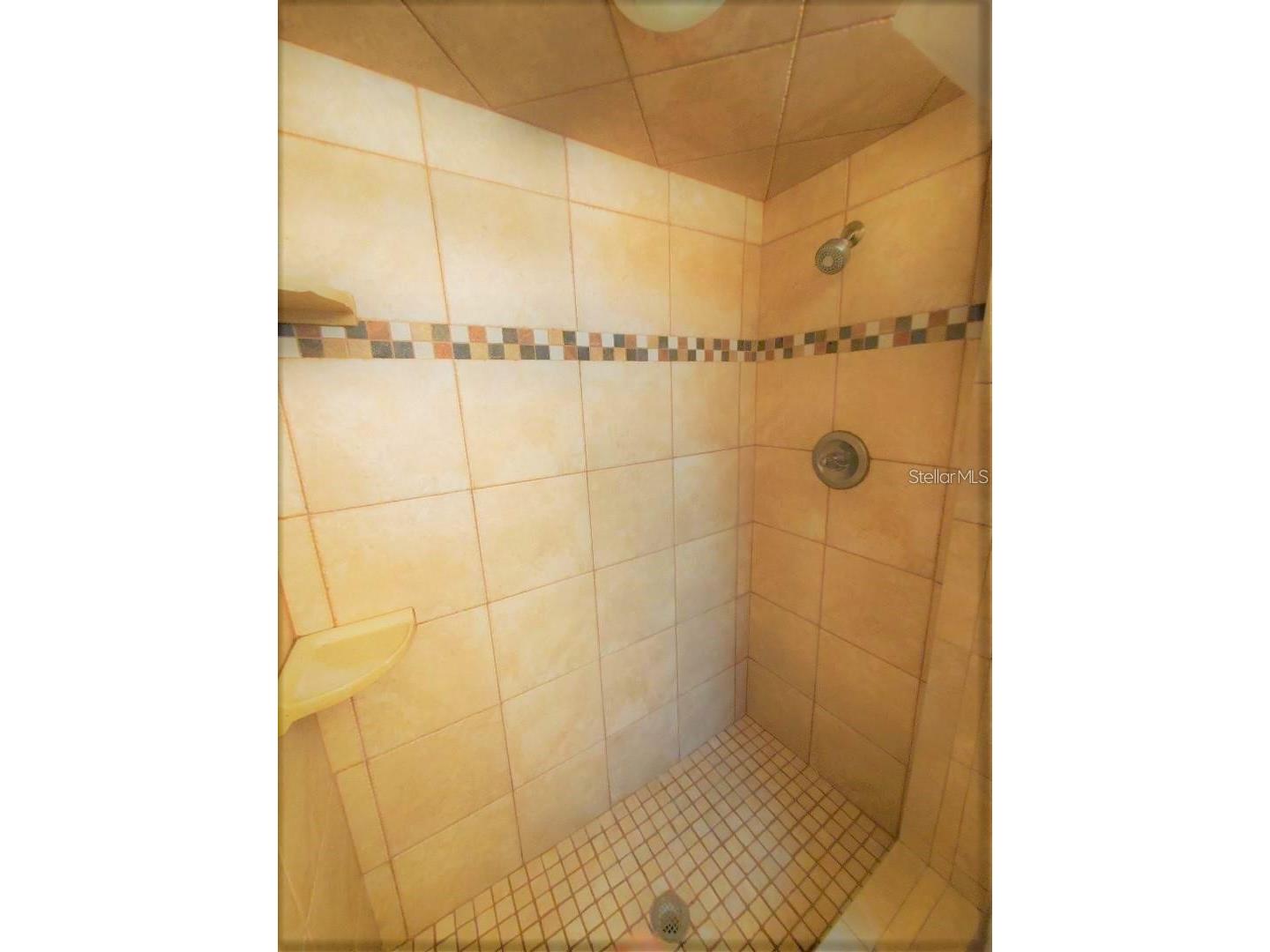 1637 Whitewood Drive Clearwater FL 33756 TB8521450 image14