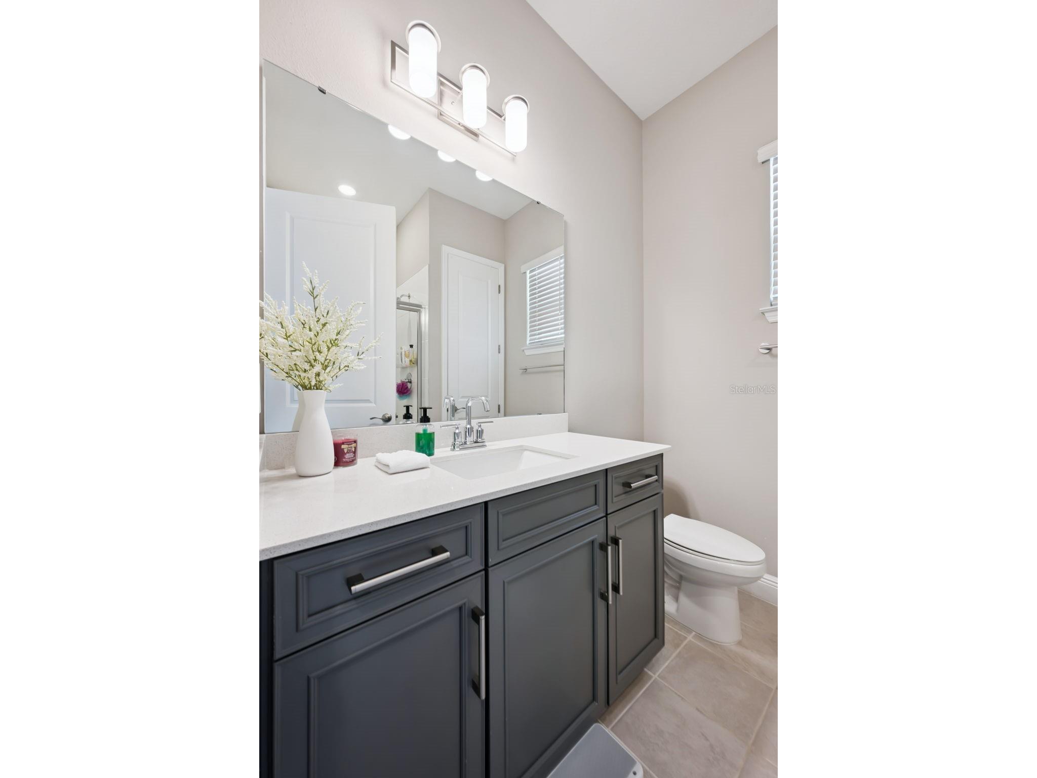 16379 Silver Grove Boulevard Winter Garden FL 34787 O6411552 image40