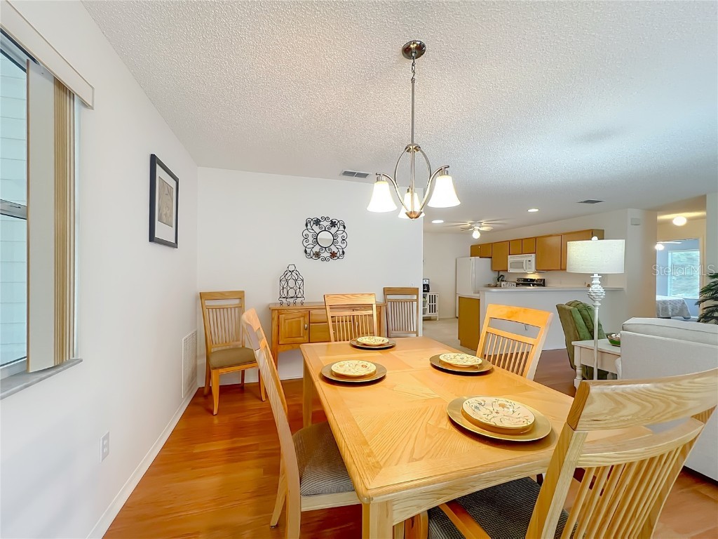 1638 Duran Drive The Villages FL 32162 G5102310 image10