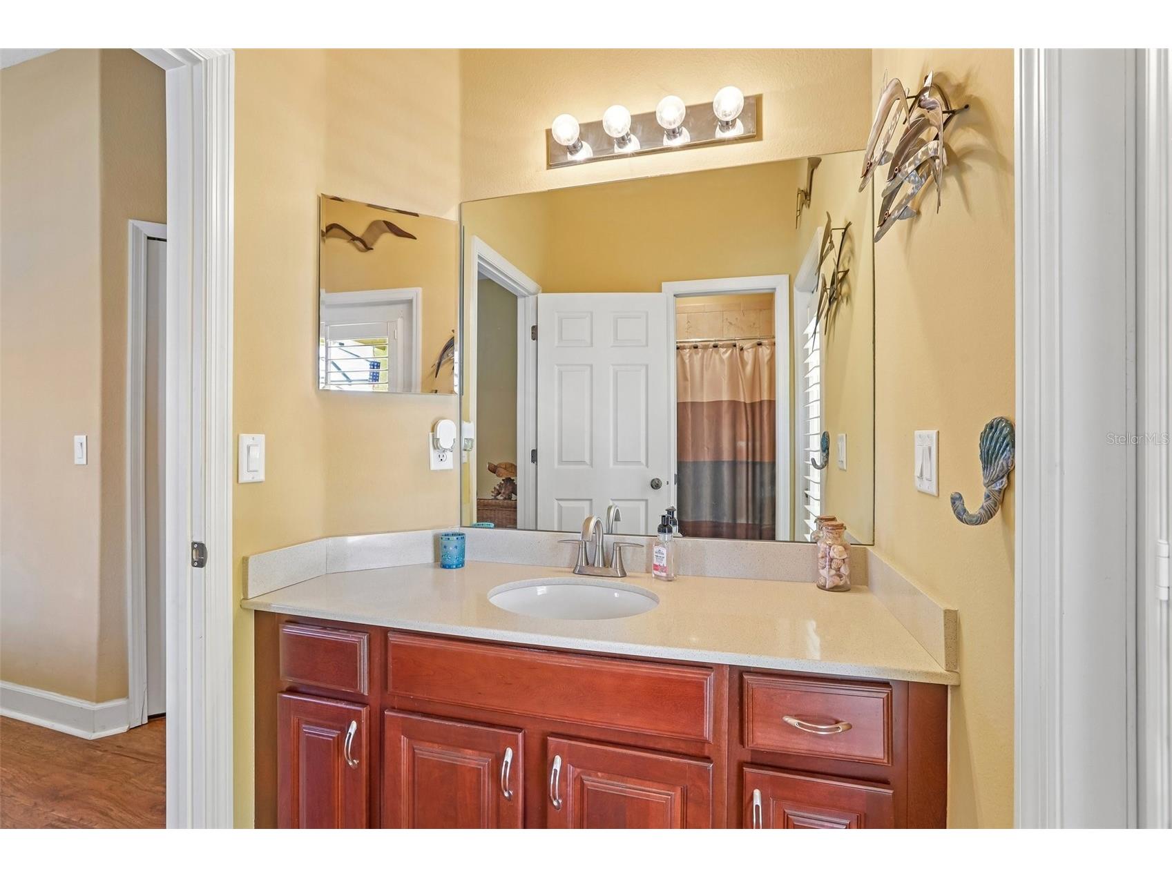 1638 Mira Lago Circle Ruskin FL 33570 TB8494933 image33