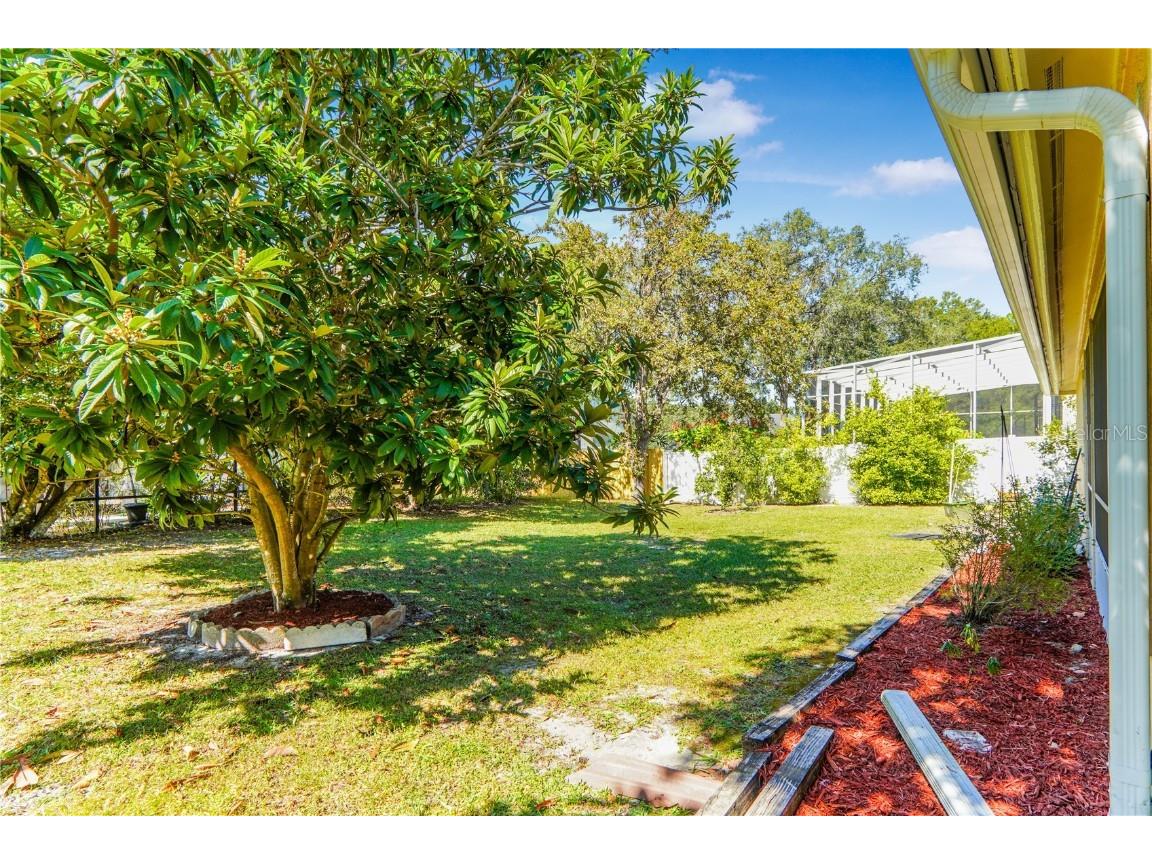 1638 Palm Beach Drive Apopka FL 32712 O6358746 image42