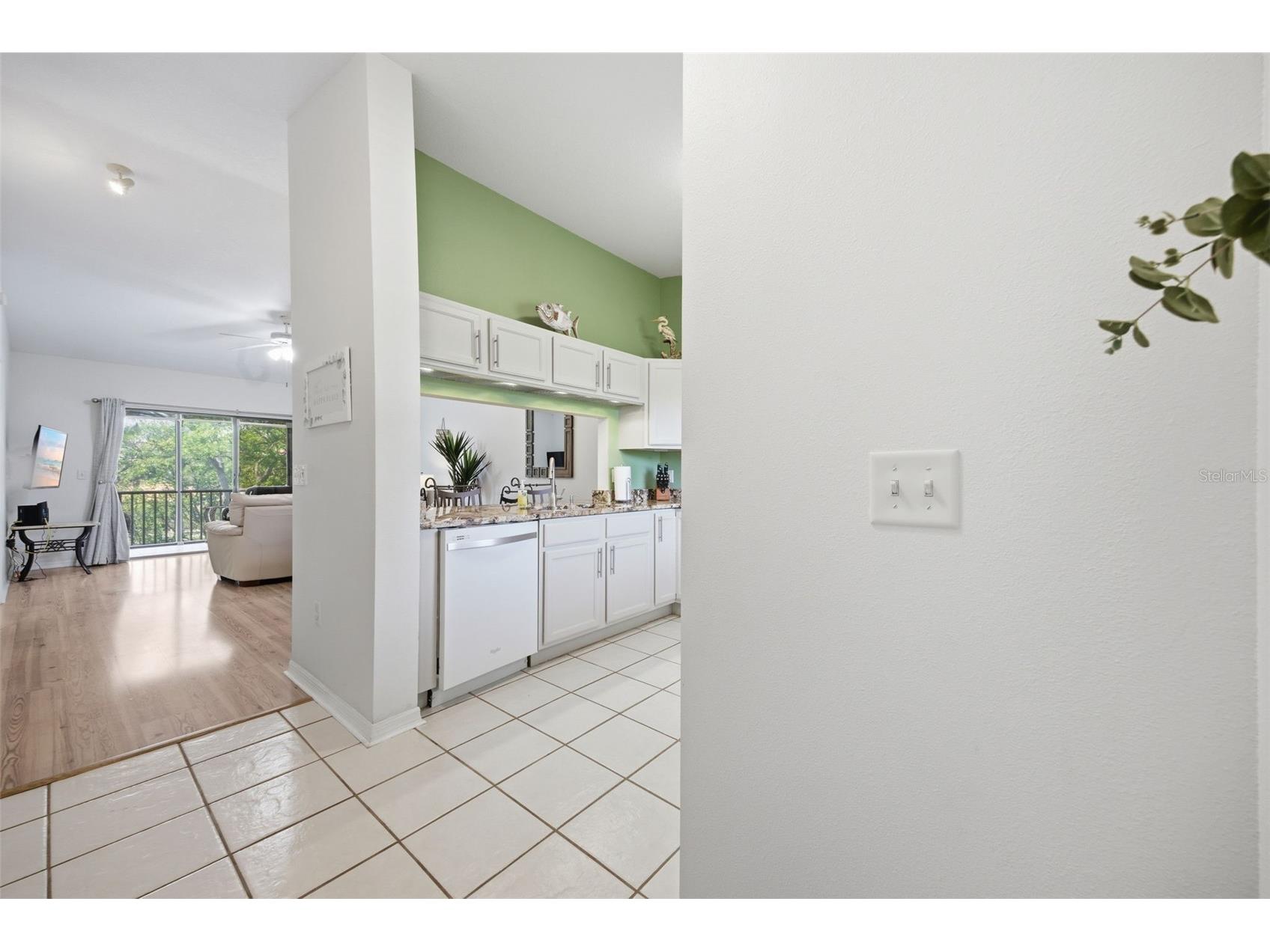 1638 Seascape Circle #1638 Tarpon Springs FL 34689 TB8502563 image3