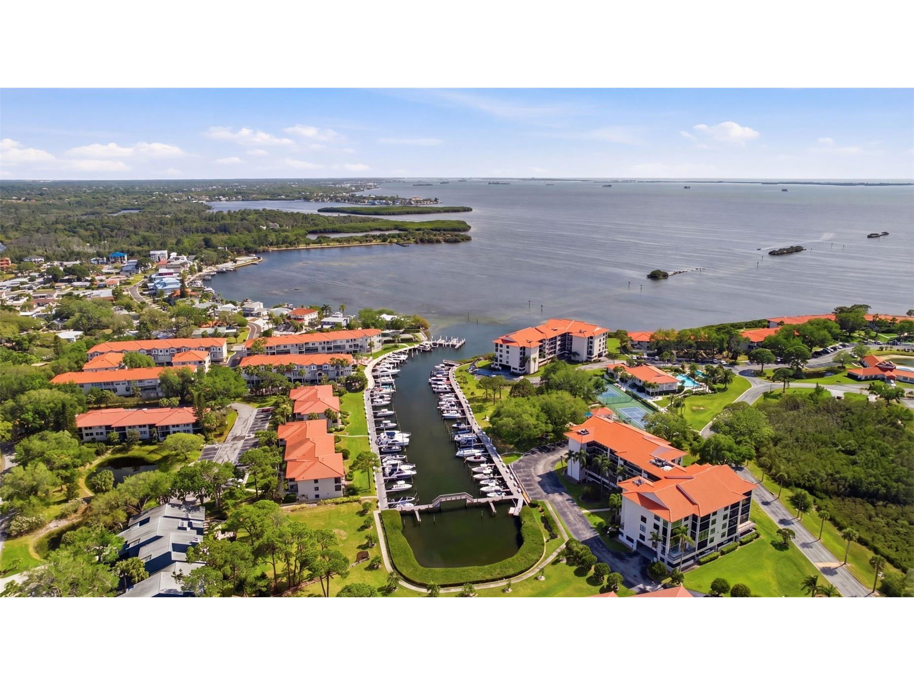 1638 Seascape Circle #1638 Tarpon Springs FL 34689 TB8502563 image39