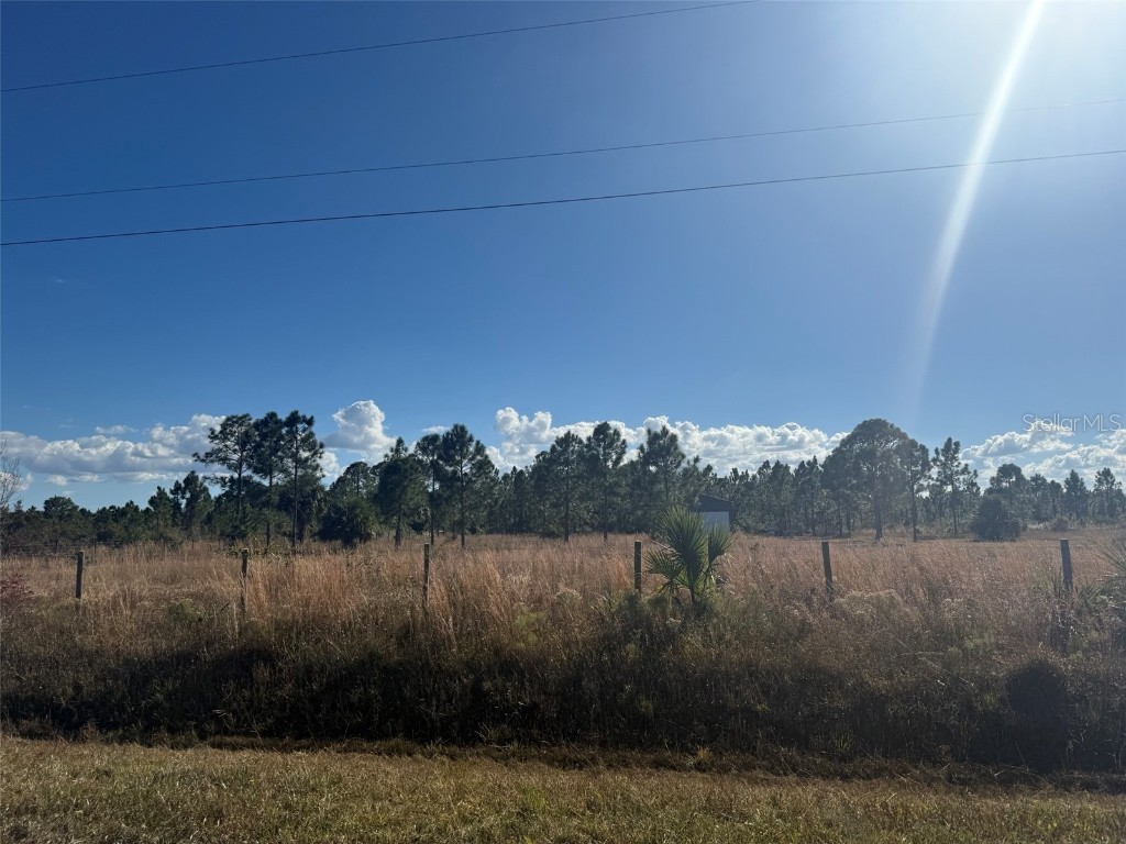 16382 NW 286th Street Okeechobee FL 34972 OK225768 image5