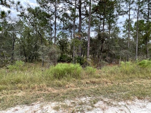 16386 Kakawi Rd Road Weeki Wachee FL 34614 W7858667 image1