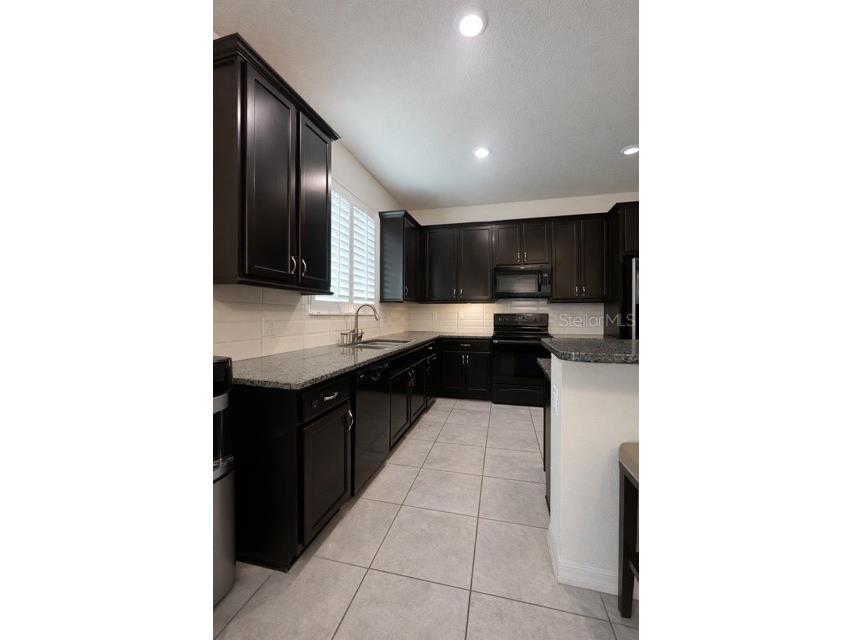 16389 Yelloweyed Drive Clermont FL 34714 O6367954 image8