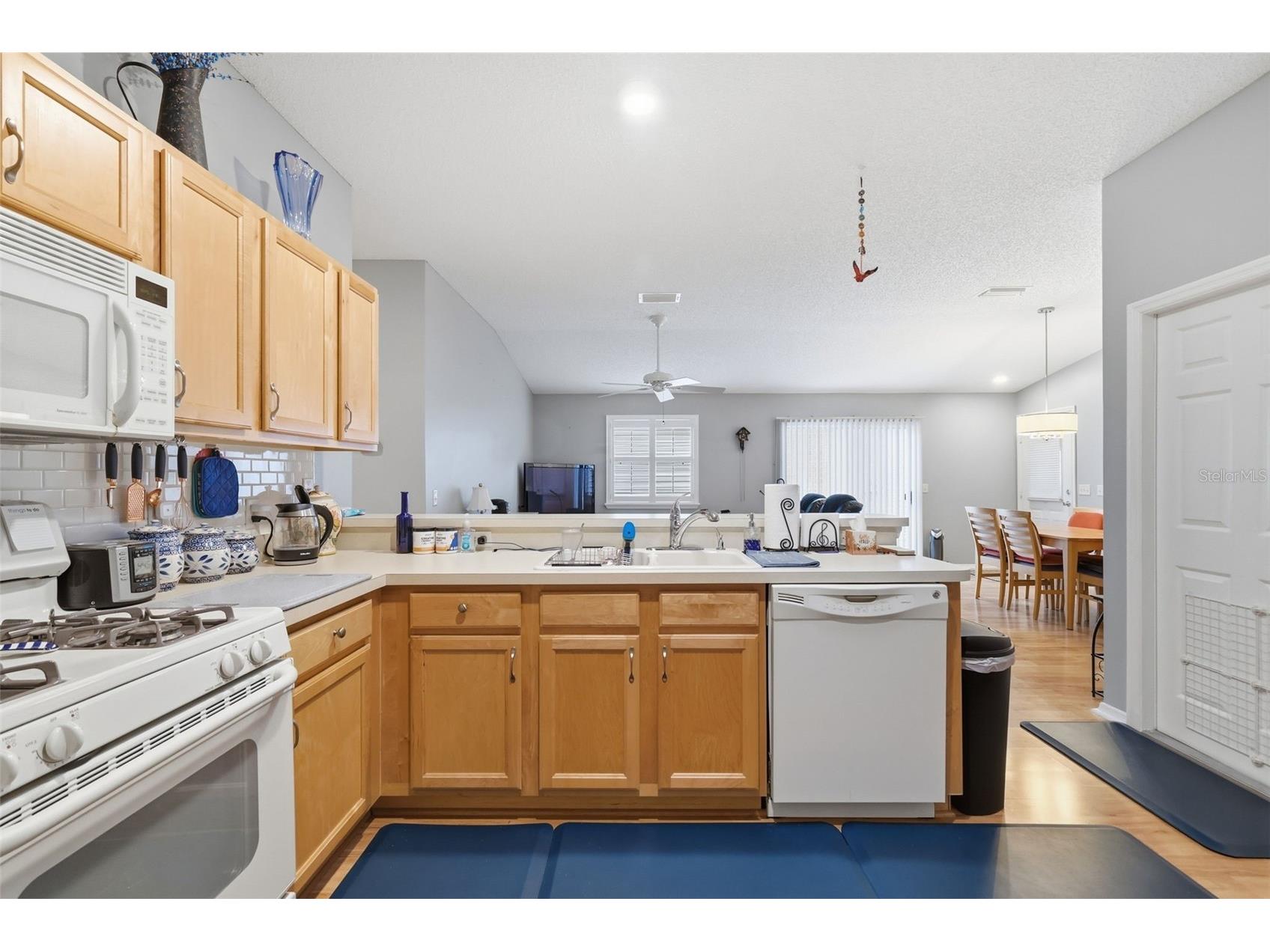 1639 Allendale Place The Villages FL 32162 G5110758 image16