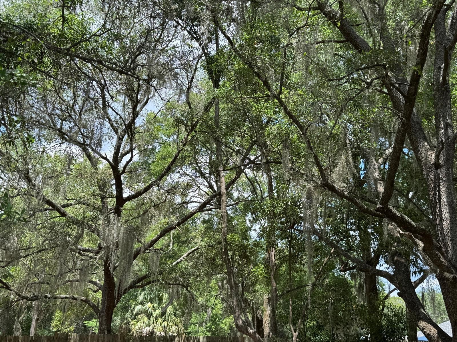 1639 Spring Lake Road Fruitland Park FL 34731 W7885558 image24