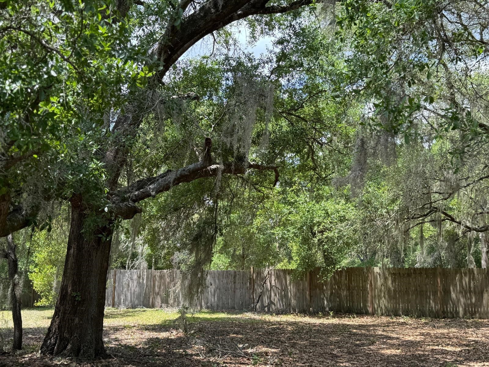 1639 Spring Lake Road Fruitland Park FL 34731 W7885558 image25
