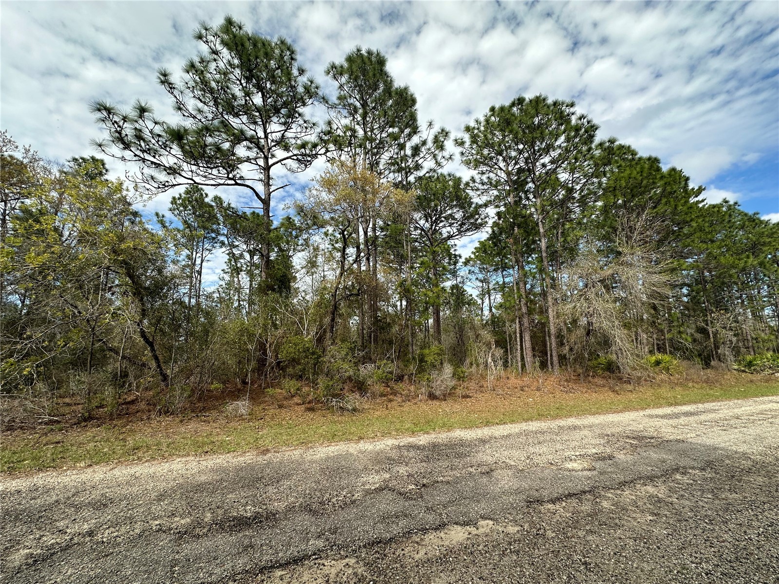 1639 W Pendleton Street Dunnellon FL 34434 OM719812 image1