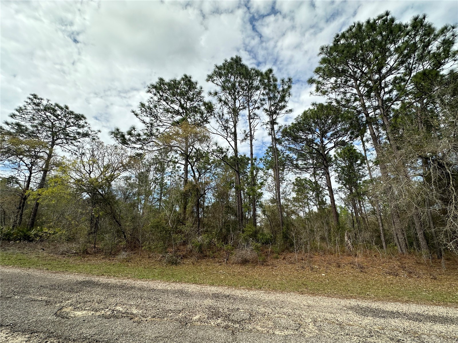 1639 W Pendleton Street Dunnellon FL 34434 OM719812 image2