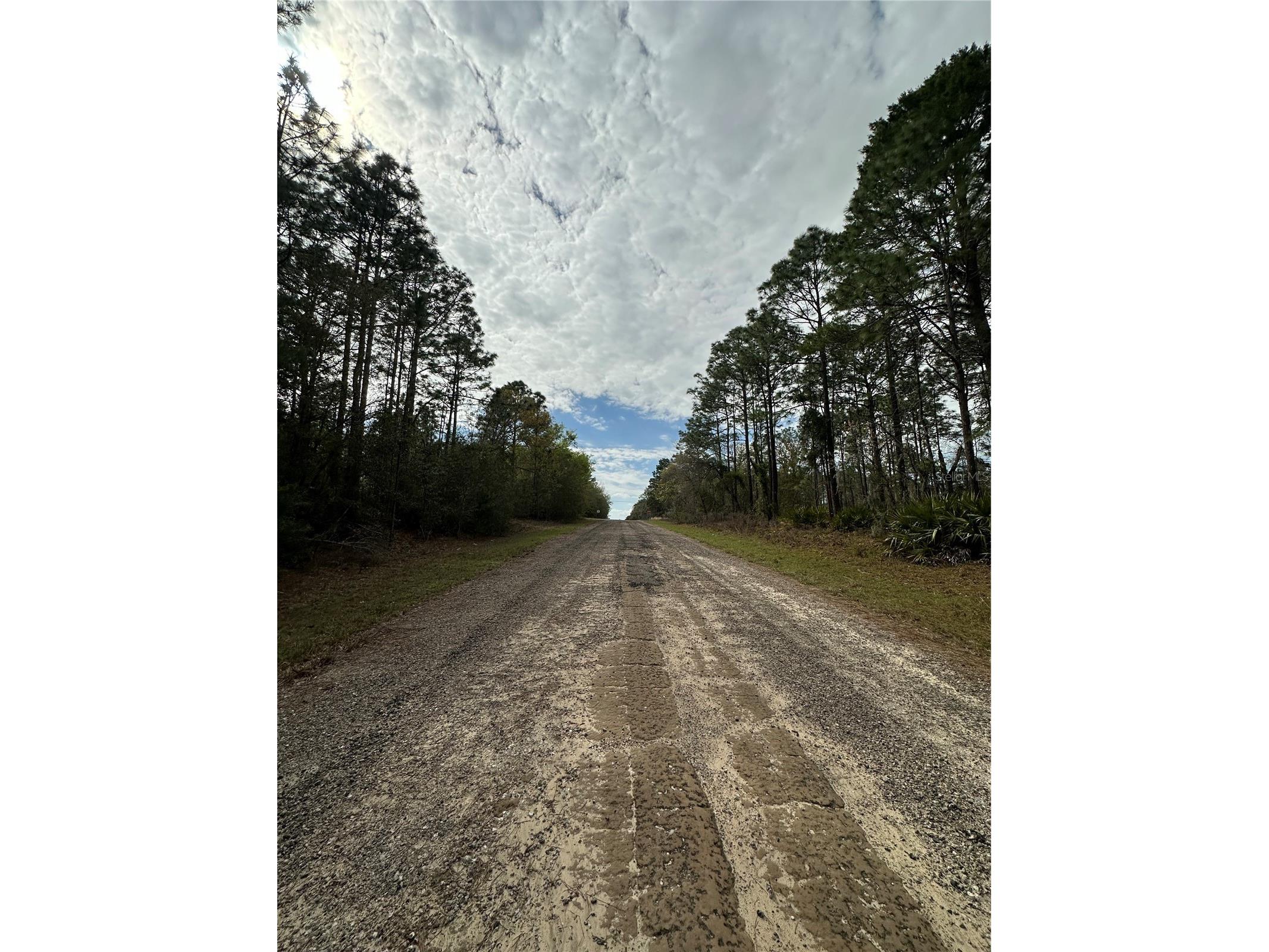 1639 W Pendleton Street Dunnellon FL 34434 OM719812 image3