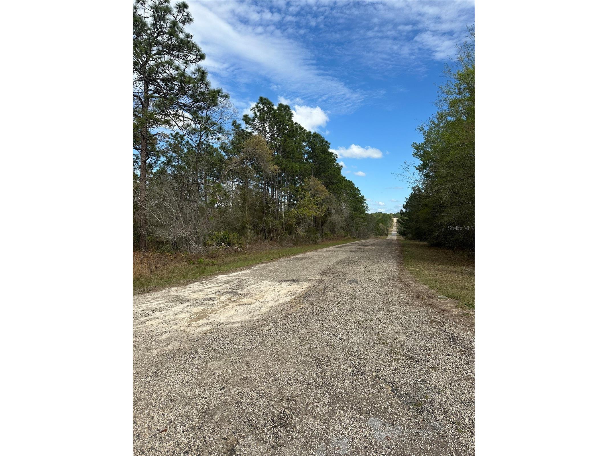 1639 W Pendleton Street Dunnellon FL 34434 OM719812 image4