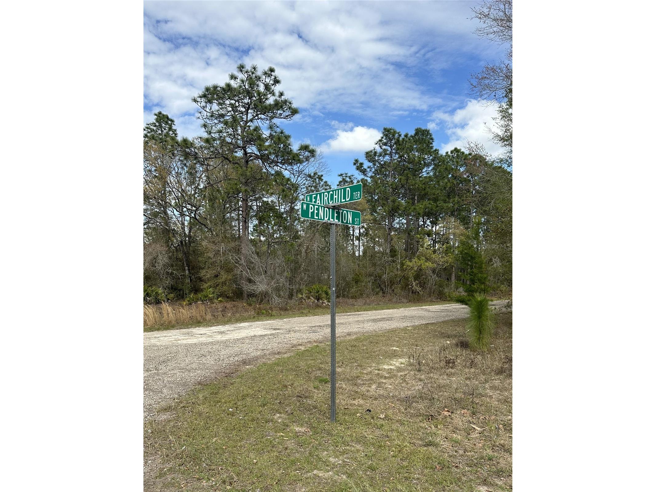 1639 W Pendleton Street Dunnellon FL 34434 OM719812 image5
