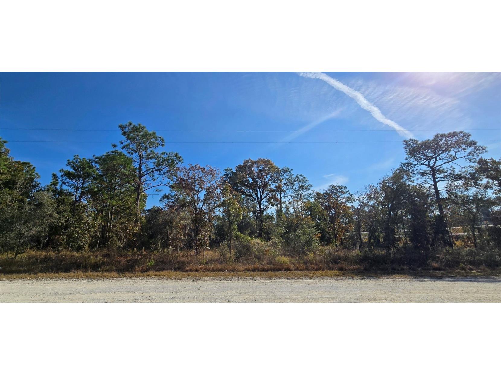 16392 Curlew Road Brooksville FL 34614 W7880917 image1