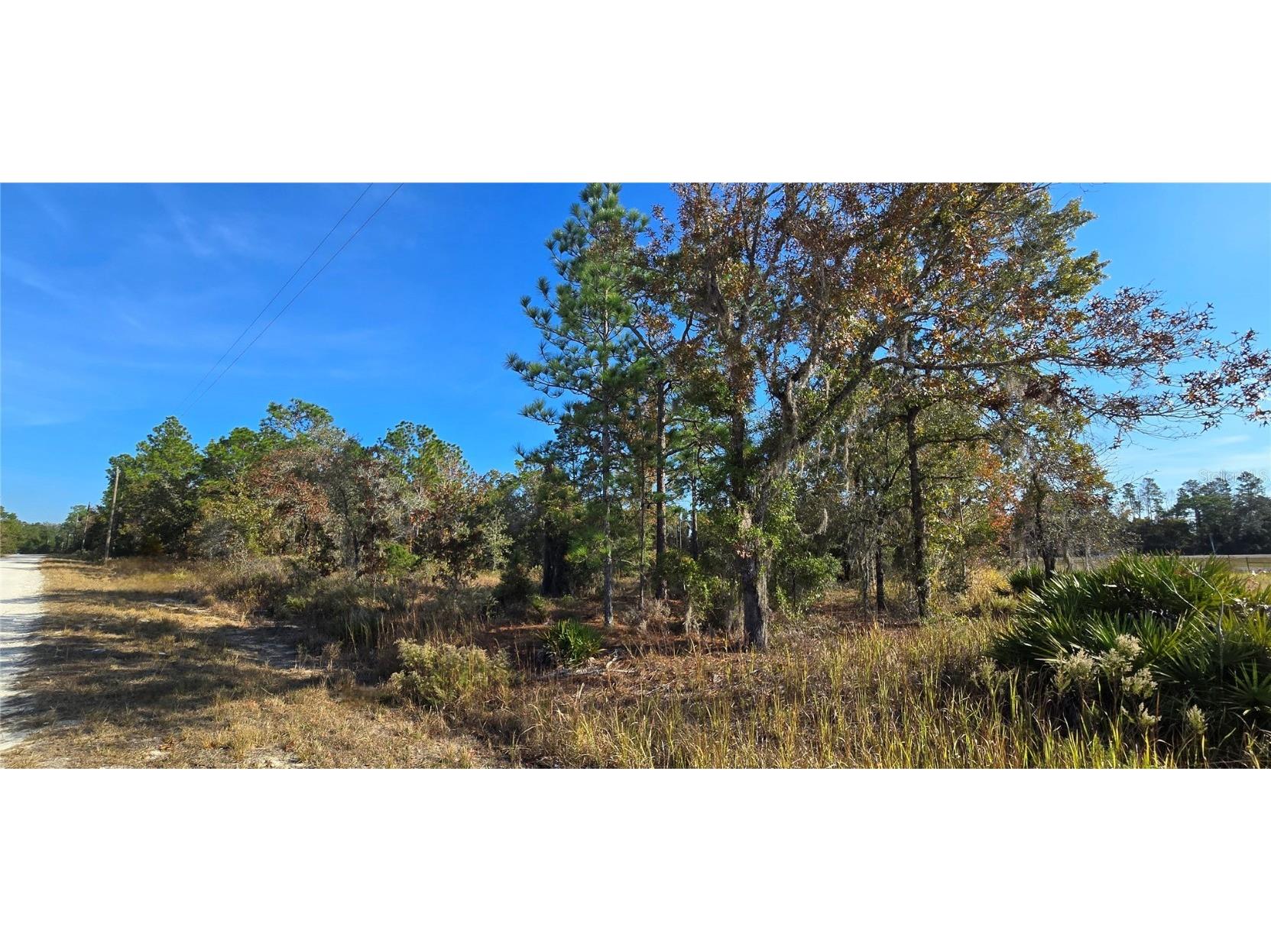 16392 Curlew Road Brooksville FL 34614 W7880917 image2