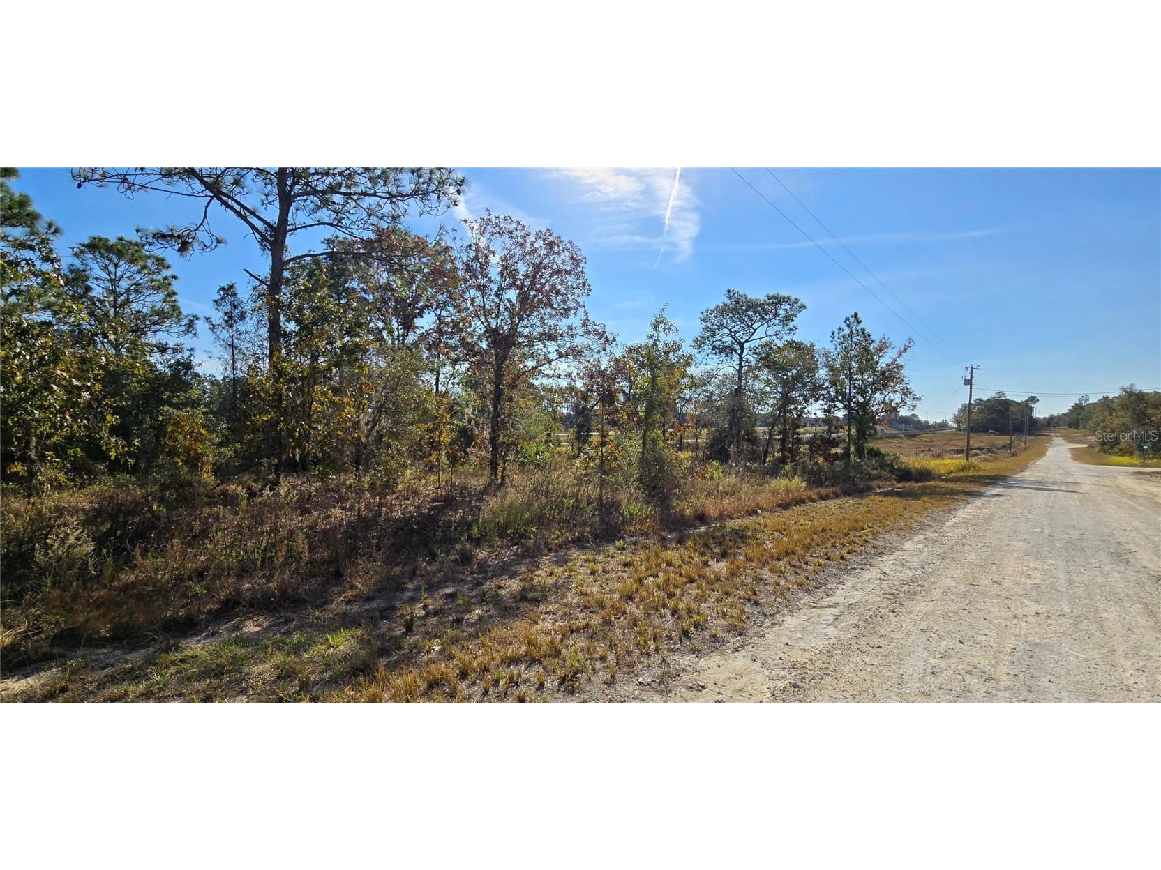 16392 Curlew Road Brooksville FL 34614 W7880917 image3