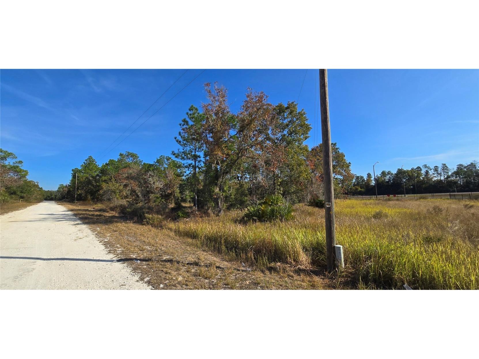 16392 Curlew Road Brooksville FL 34614 W7880917 image4