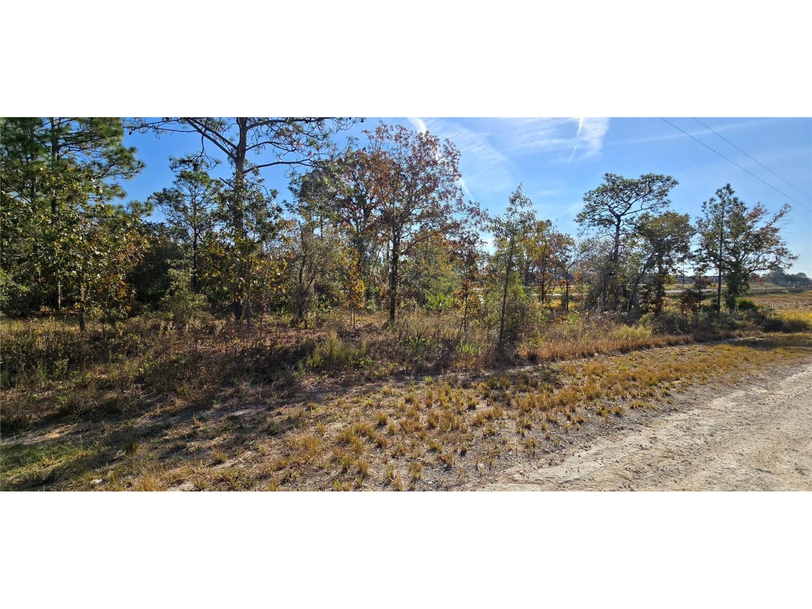 16392 Curlew Road Brooksville FL 34614 W7880917 image5