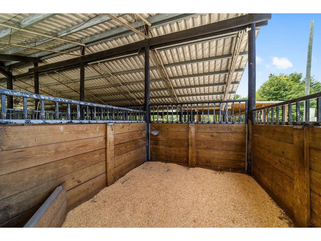 16392 NE Jacksonville Road Citra FL 32113 OM725275 image23