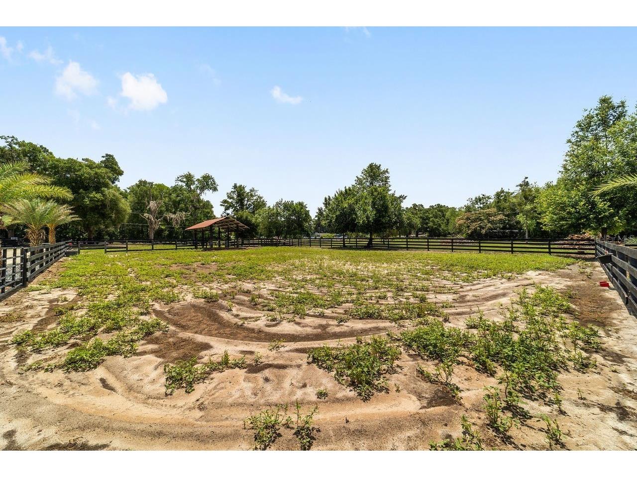 16392 NE Jacksonville Road Citra FL 32113 OM725275 image33
