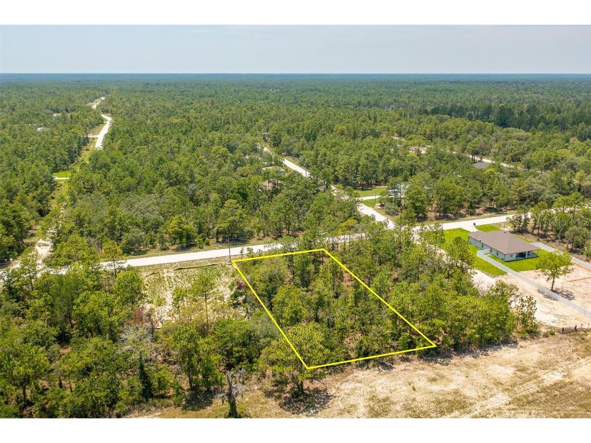 16392 Pomp Parkway Weeki Wachee FL 34614 U8205765 image1