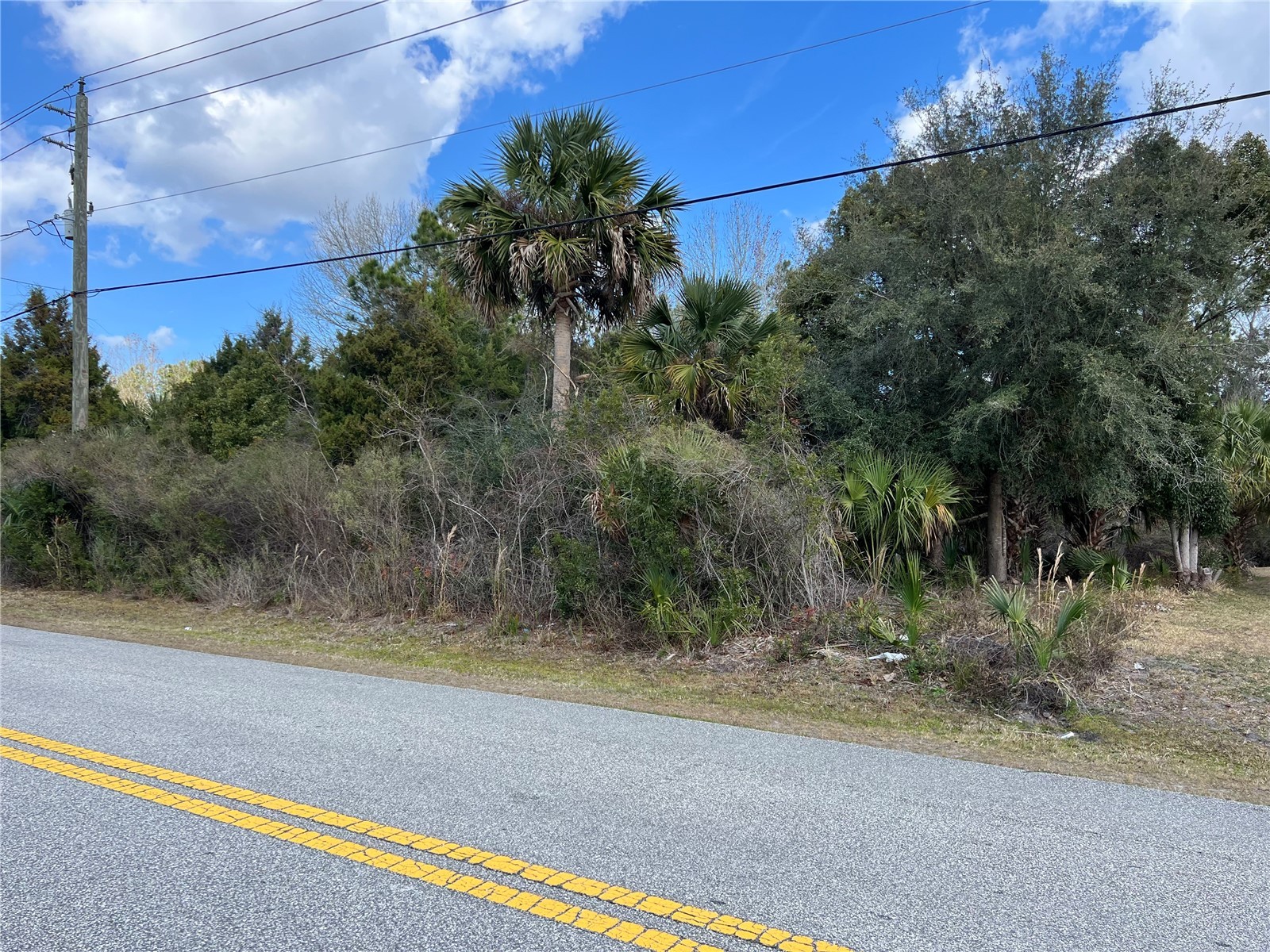 164 Bird Of Paradise Drive Palm Coast FL 32137 FC316390 image1