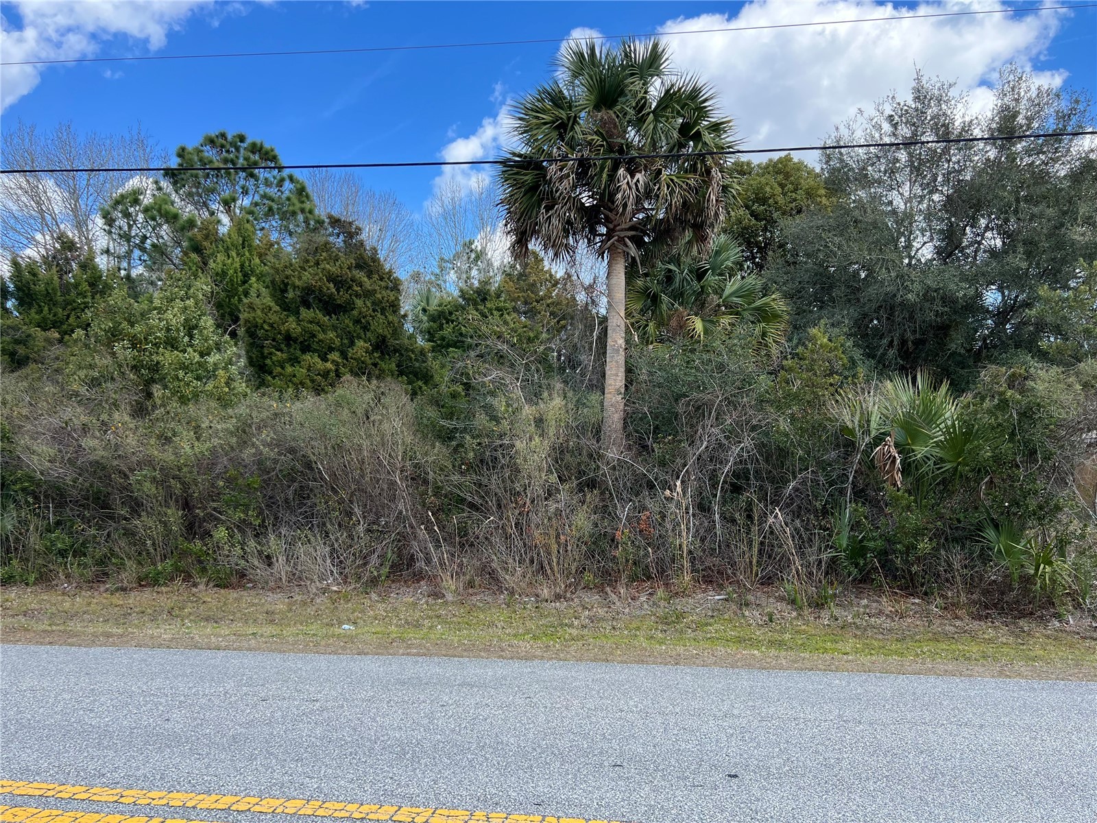 164 Bird Of Paradise Drive Palm Coast FL 32137 FC316390 image2