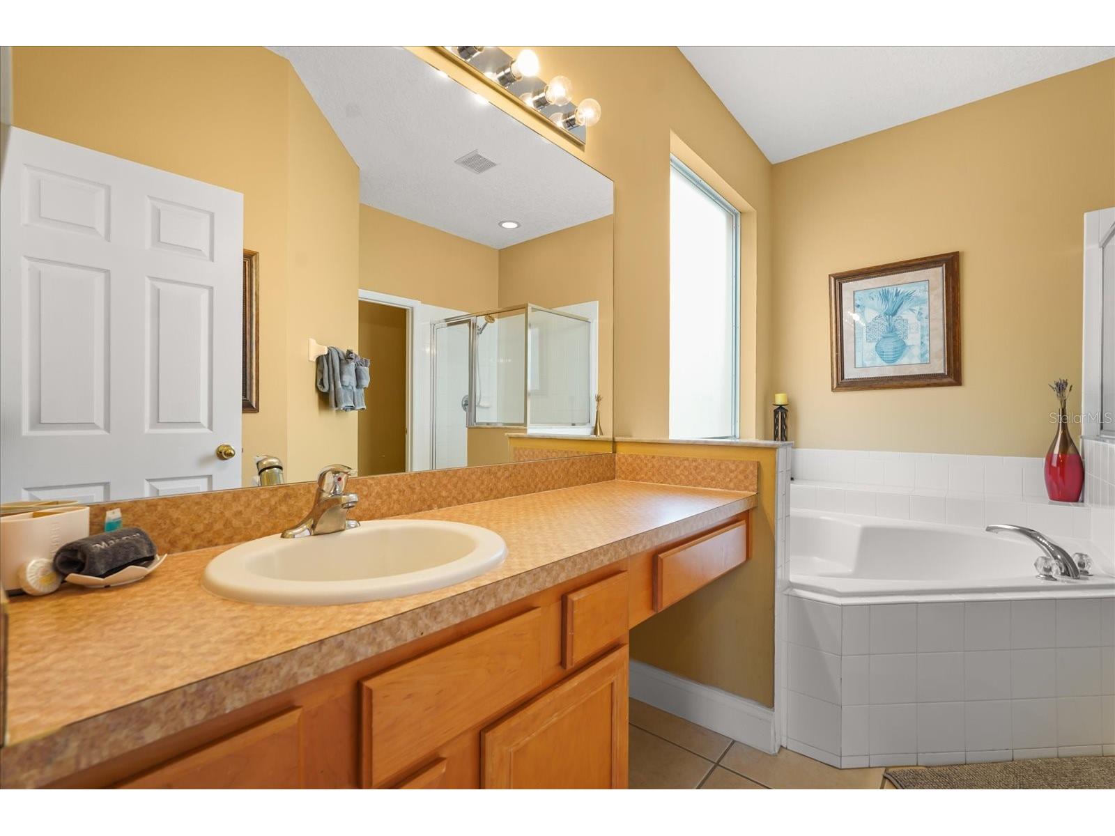 164 Castaway Beach Way Kissimmee FL 34746 O6401551 image27