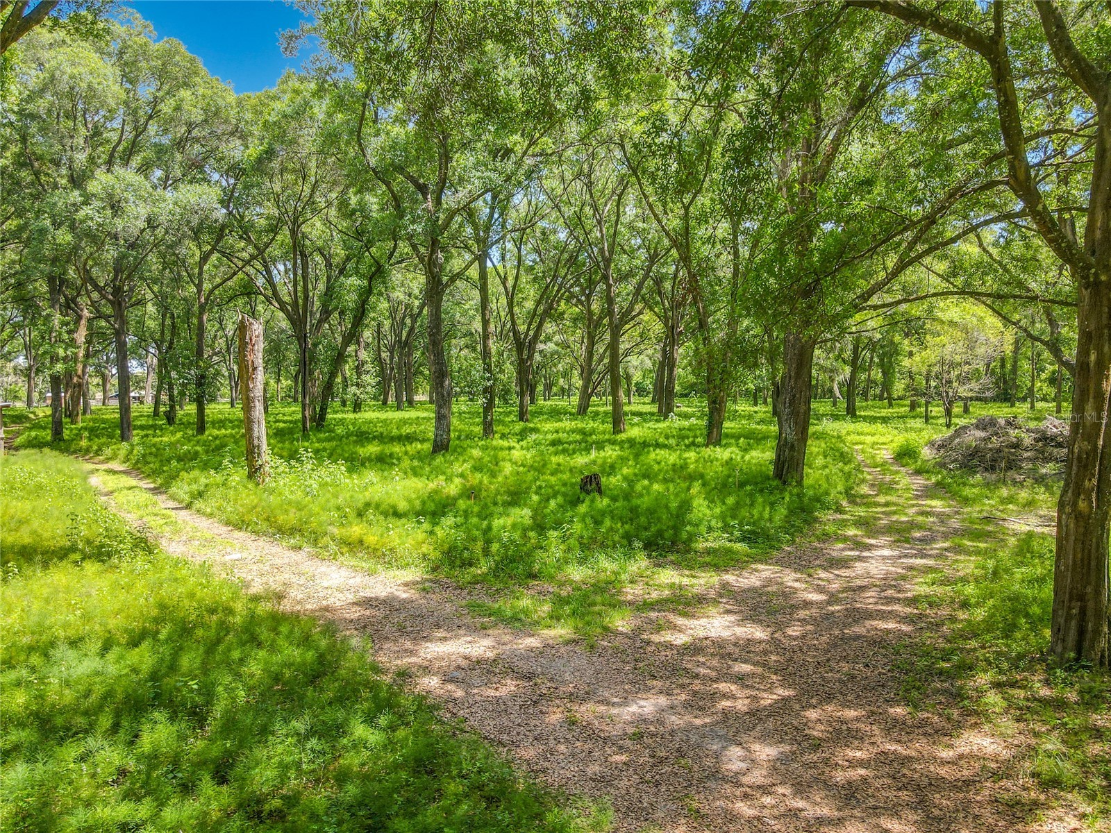 164 Denver Road Crescent City FL 32112 V4948318 image6