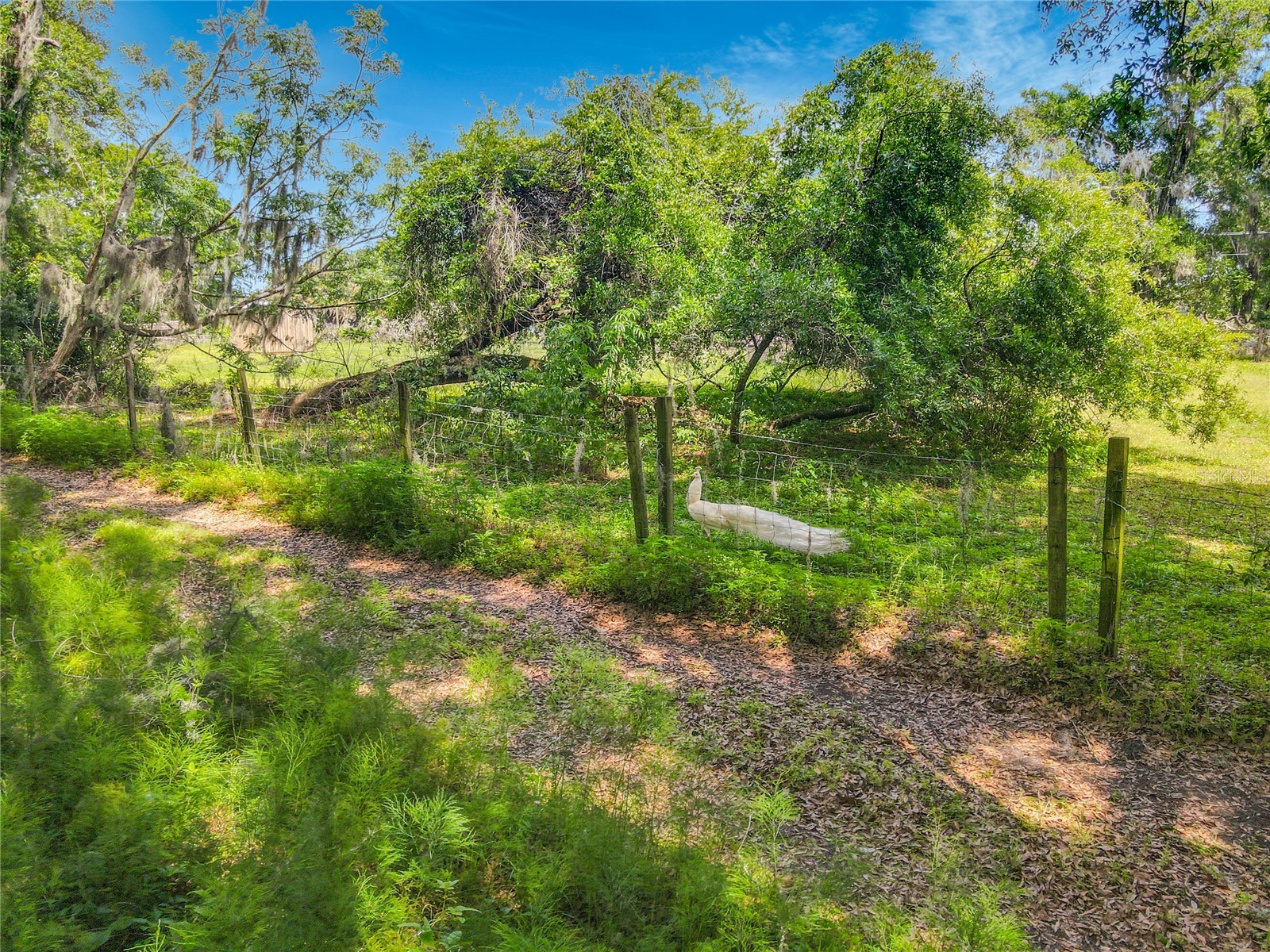 164 Denver Road Crescent City FL 32112 V4948318 image7