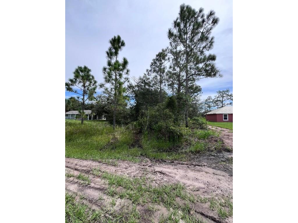 164 Desoto Avenue Indian Lake Estates FL 33855 O6342078 image5