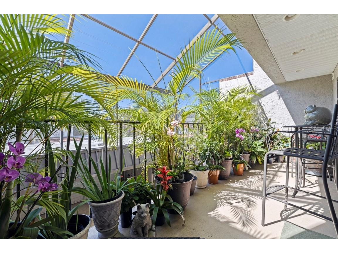 164 E Davis Boulevard Tampa FL 33606 TB8442504 image13