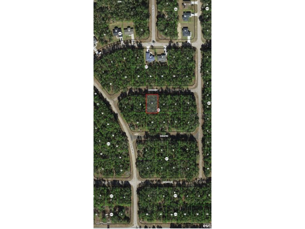 164 E Simms Lane Dunnellon FL 34434 O6359370 image3