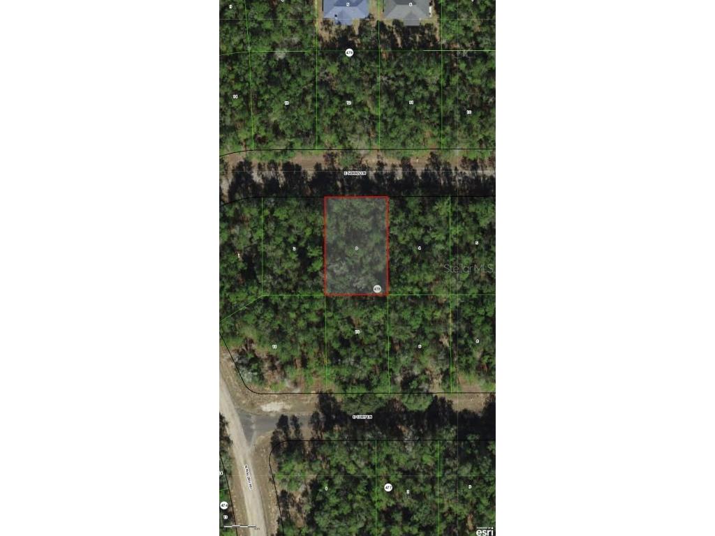 164 E Simms Lane Dunnellon FL 34434 O6359370 image4