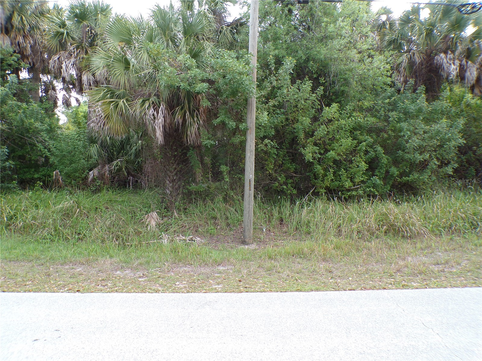 164 Ferdon Circle Port Charlotte FL 33954 C7524006 image5
