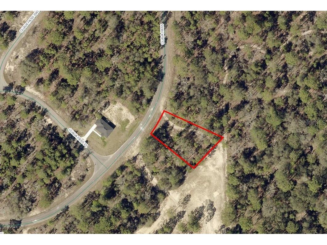 164 Guava Pass Ocklawaha FL 32179 OM695677 image1